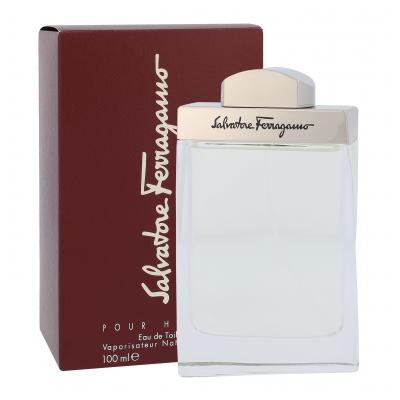 Ferragamo Pour Homme Woda toaletowa dla mężczyzn 100 ml