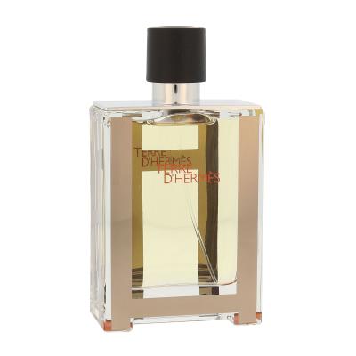 Hermes Terre d´Hermès Woda toaletowa dla mężczyzn 100 ml tester