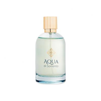 Aqua di Sorrento Posillipo Woda perfumowana dla mężczyzn 100 ml