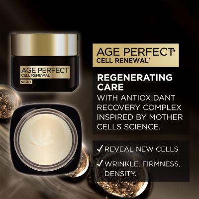 L&#039;Oréal Paris Age Perfect Cell Renew Regenerating Night Cream Krem na noc dla kobiet 50 ml