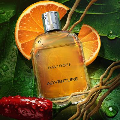 Davidoff Adventure Woda toaletowa dla mężczyzn 100 ml