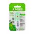 Lip Smacker Kiss Therapy Protecting Balsam do ust dla kobiet 3,5 g Odcień Eucalyptus Mint