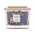 Yankee Candle Elevation Collection Fig & Clove Świeczka zapachowa 347 g