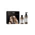 L'Oréal Professionnel Absolut Repair Molecular Glacial Utopia Limited Edition Zestaw szampon Absolut Repair Molecular 300 ml + serum do włosów Absolut Repair Molecular 250 ml