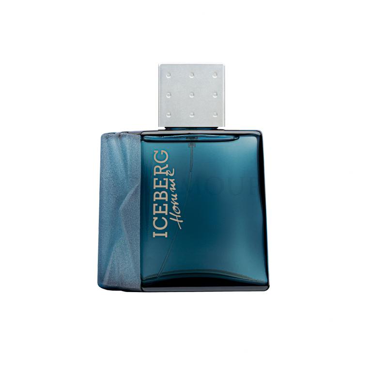 Iceberg Homme Woda toaletowa dla mężczyzn 100 ml