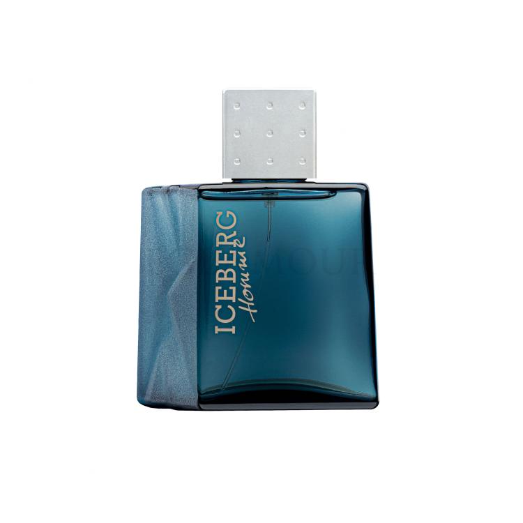 Iceberg Homme Woda toaletowa dla mężczyzn 50 ml